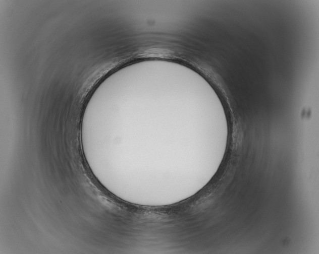 X0000114410529200911061603