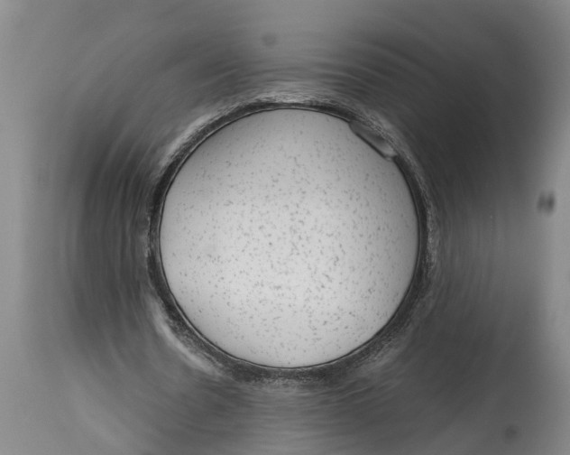 X0000114410530200911061603