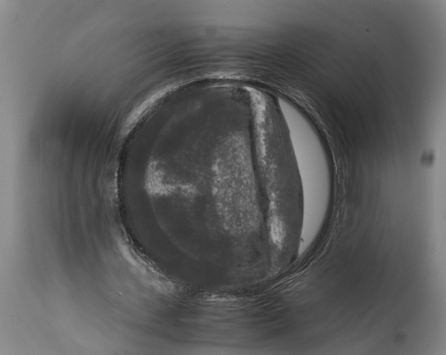 X0000114410531200911061603