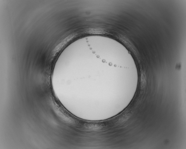 X0000114410533200911061603