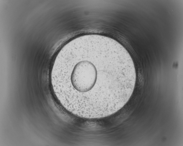 X0000114410534200911061603