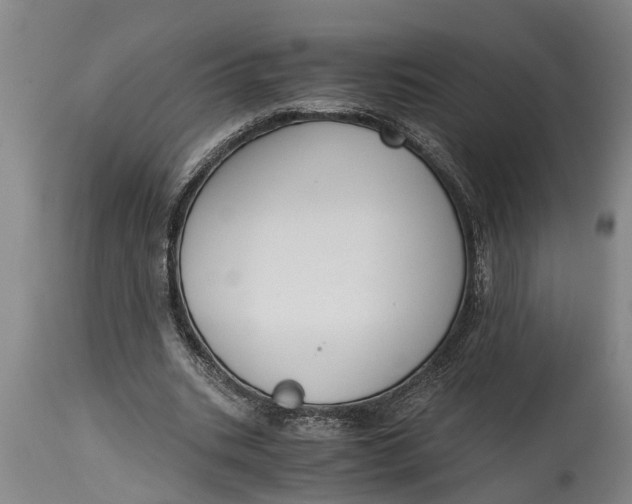 X0000114410535200911061603