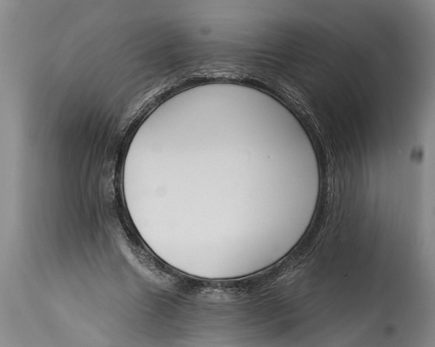 X0000114410538200911061603