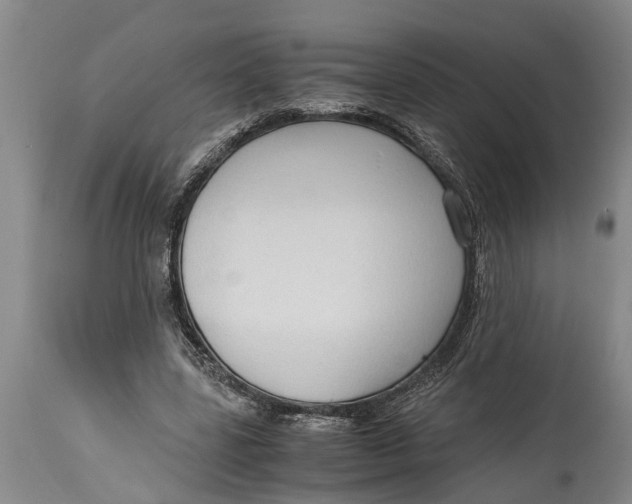 X0000114410539200911061603