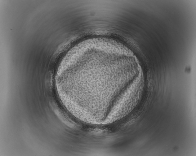 X0000114410542200911061603