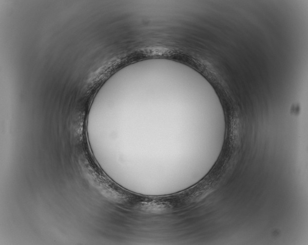 X0000114410545200911061603