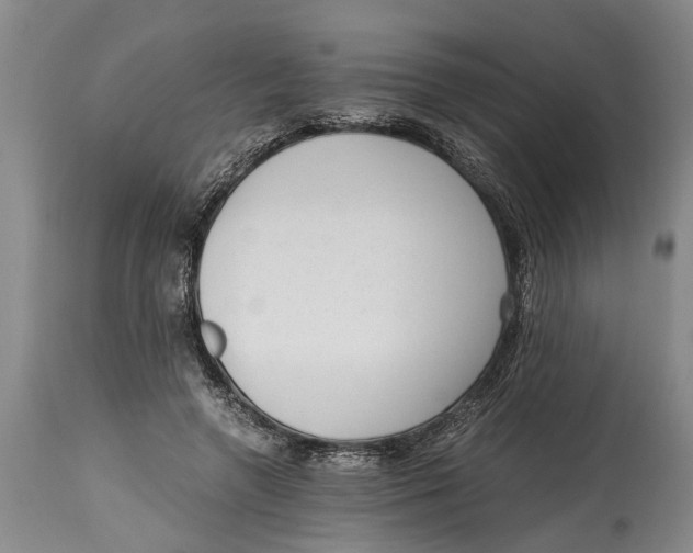 X0000114410546200911061603