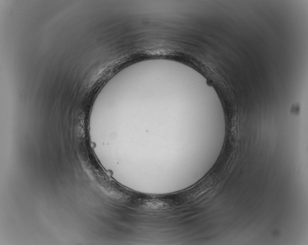 X0000114410547200911061603