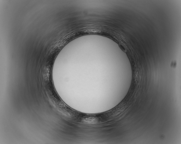 X0000114410551200911061603