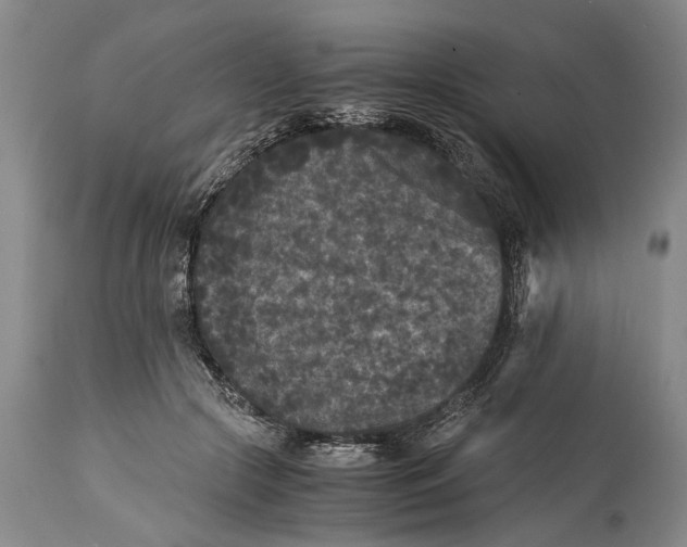 X0000114410553200911061604