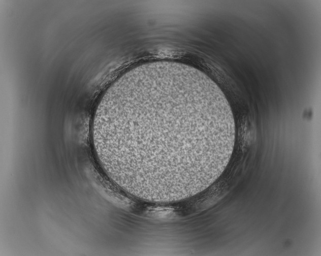 X0000114410554200911061604