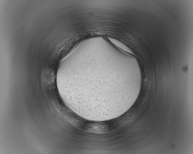 X0000114410555200911061604