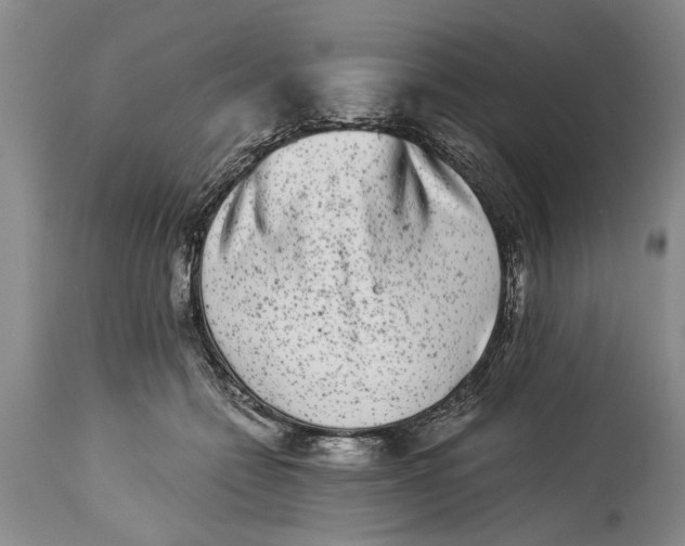 X0000114410558200911061604