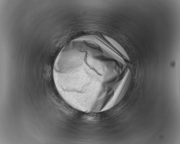 X0000114410563200911061604