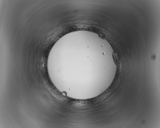 X0000114410567200911061604