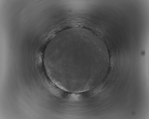 X0000114410570200911061604