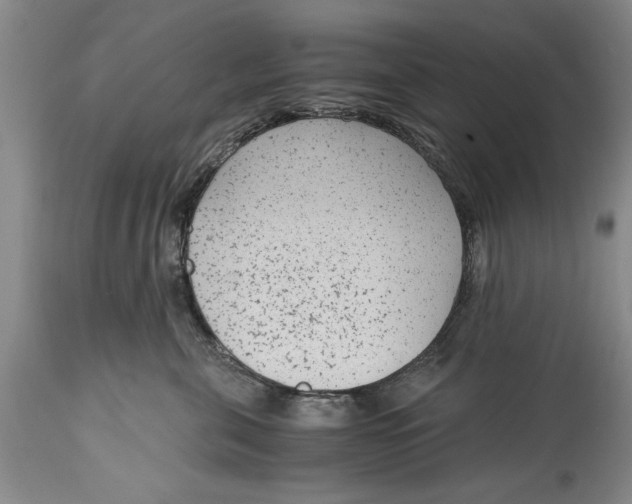 X0000114410571200911061604