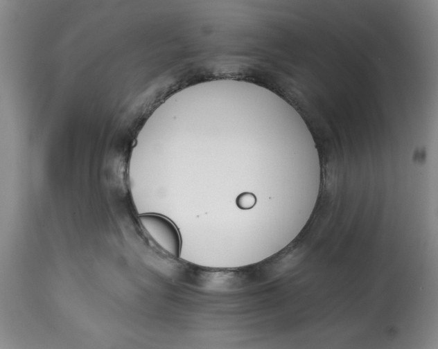 X0000114410575200911061604