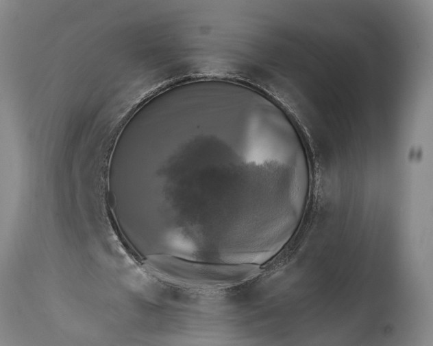 X0000114410577200911061603