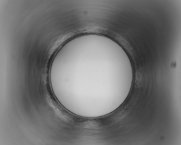 X0000114410578200911061603