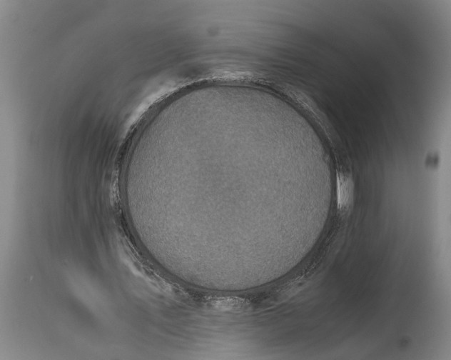 X0000114410579200911061603