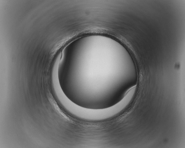 X0000114410581200911061603