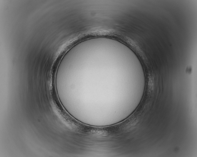 X0000114410582200911061603