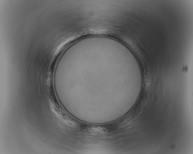 X0000114410583200911061603