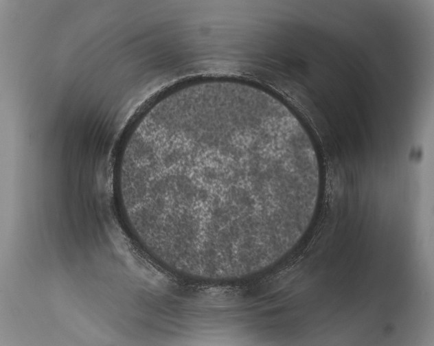 X0000114410584200911061603