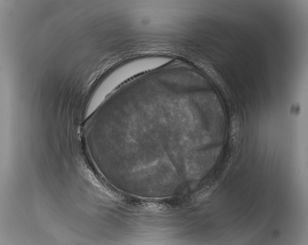 X0000114410585200911061603