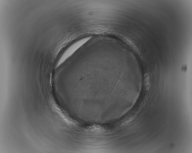 X0000114410589200911061603