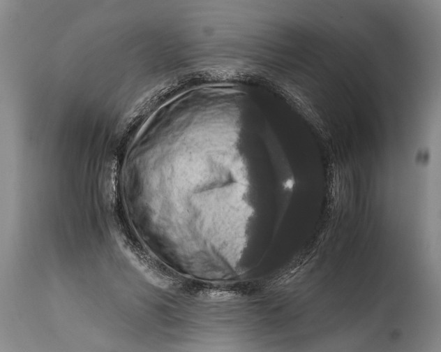 X0000114410590200911061603