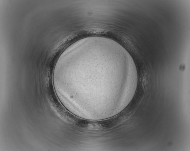 X0000114410591200911061603