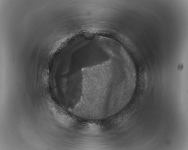 X0000114410592200911061603