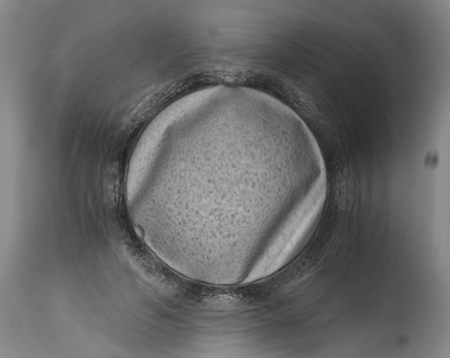 X0000114410594200911061603