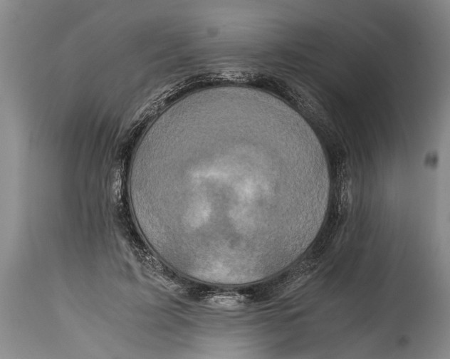 X0000114410595200911061603