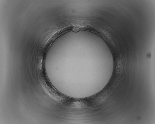 X0000114410596200911061603