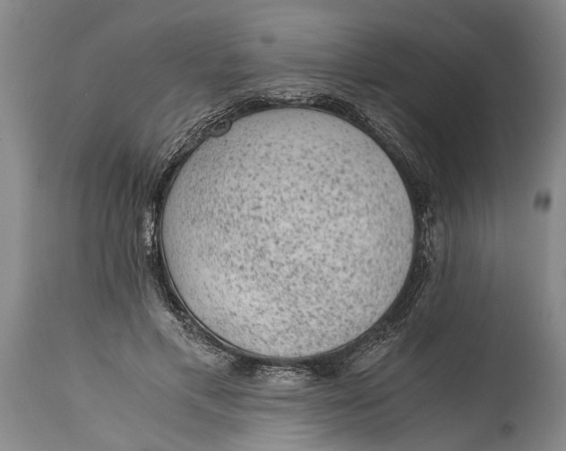 X0000114410597200911061603