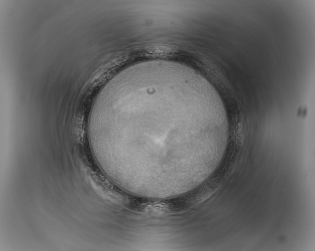 X0000114410599200911061603