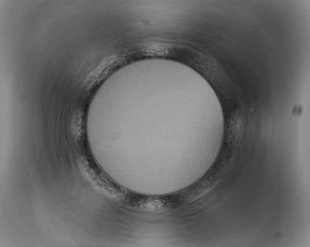 X0000114410600200911061603