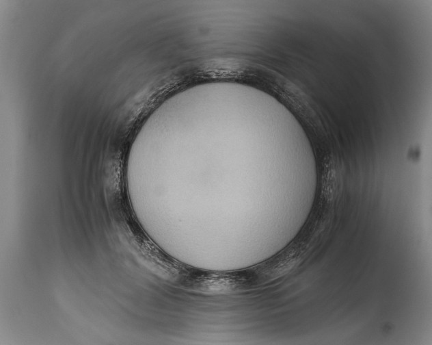 X0000114410604200911061603