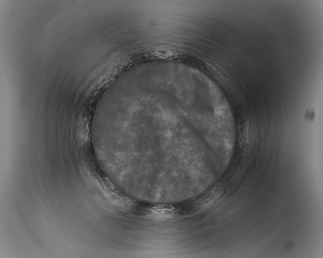 X0000114410606200911061603