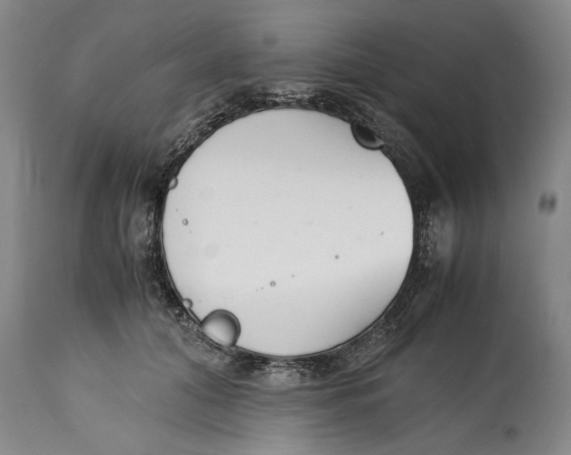 X0000114410608200911061602