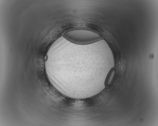 X0000114410609200911061602