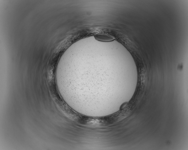 X0000114410611200911061602