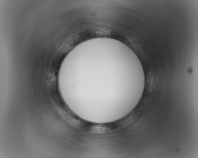 X0000114410614200911061602