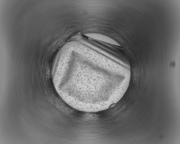 X0000114410617200911061602