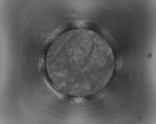 X0000114410618200911061602