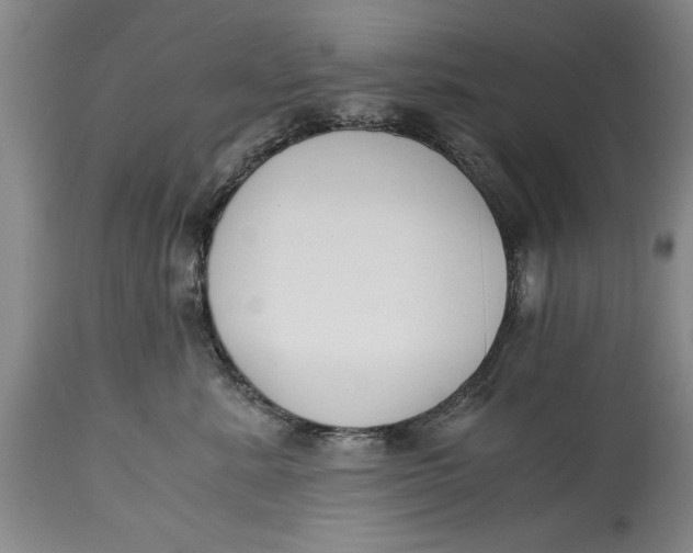 X0000114410619200911061602