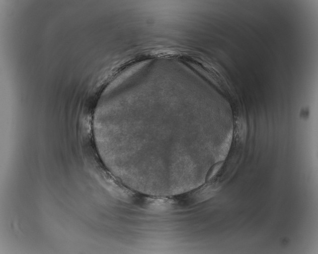 X0000114410621200911061602